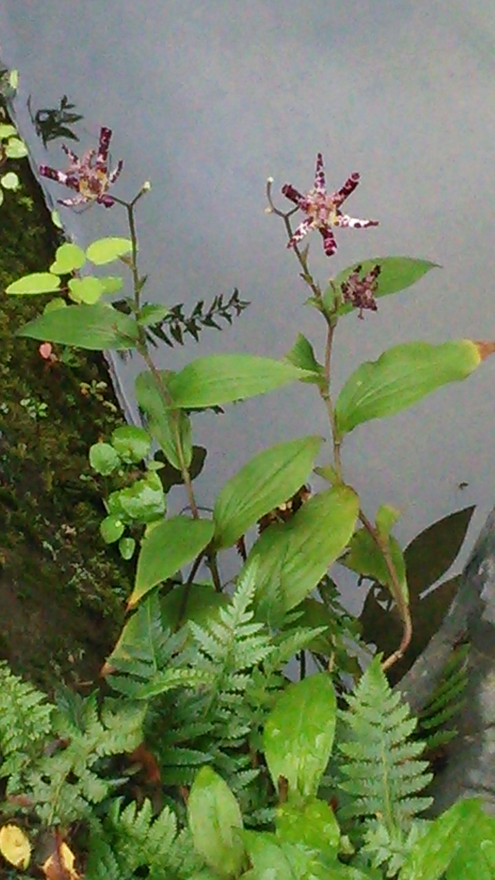c0073152_23245075.jpg