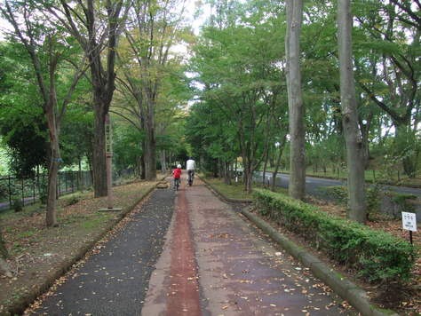c0111557_19494840.jpg