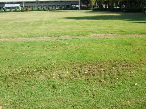 c0111557_1959965.jpg