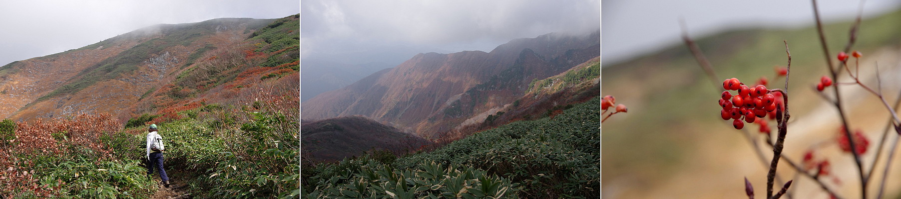 ２０１３．１０．３１　新潟県・巻機山　　　２０１３．１１．６（記）_a0181059_1724763.jpg