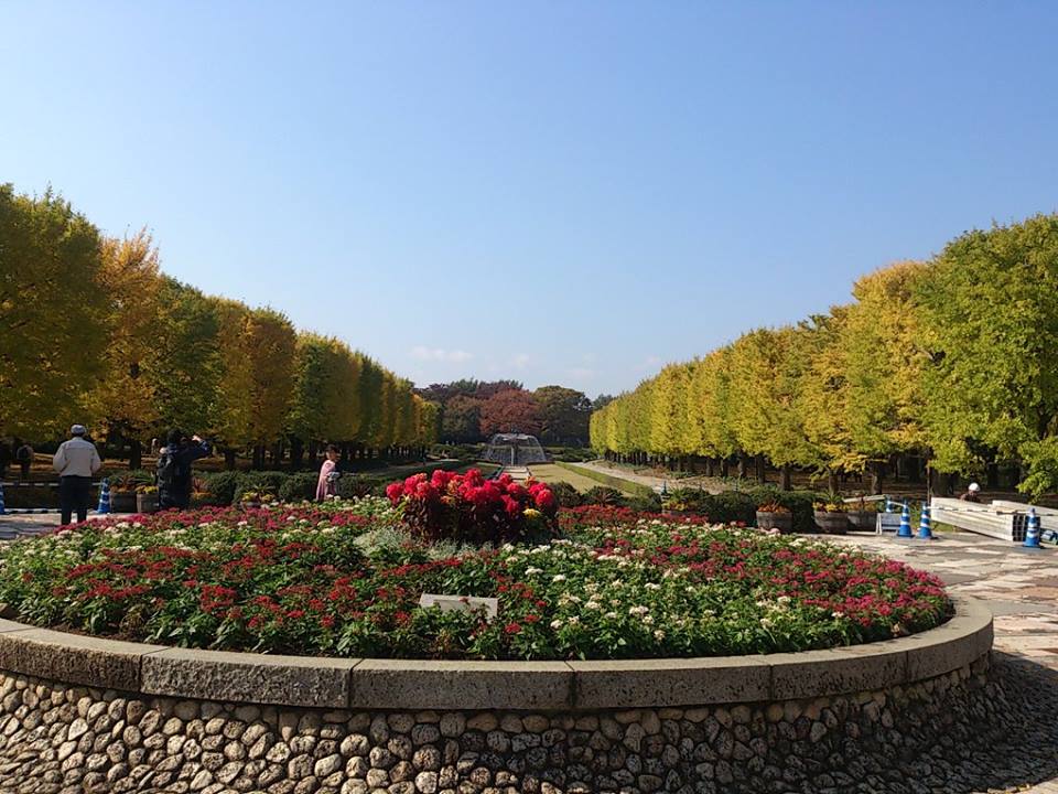 紅葉の昭和記念公園_b0208561_14363599.jpg