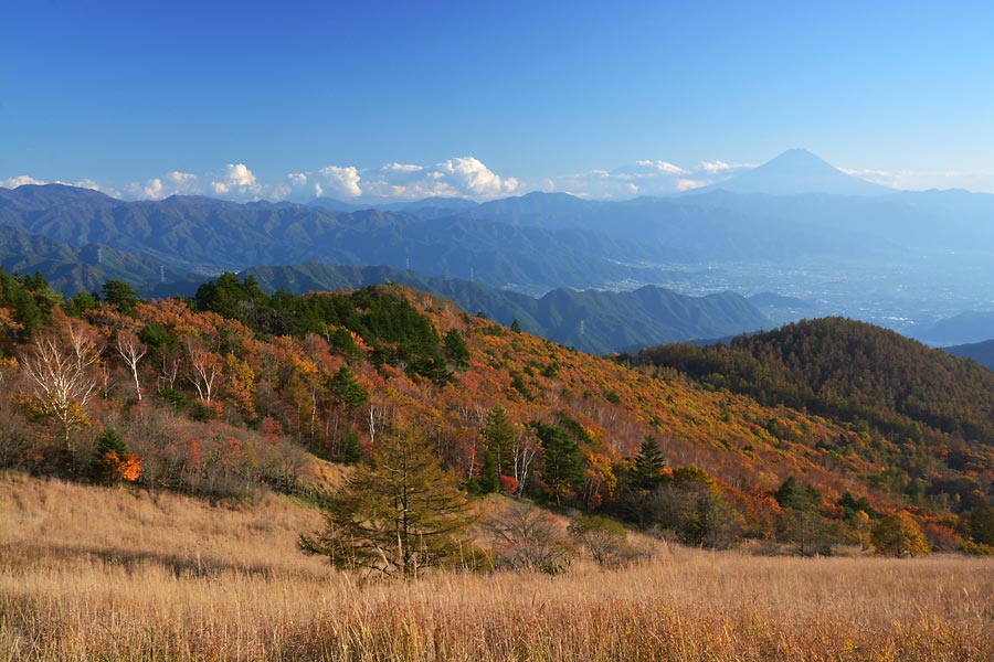 乾徳山からの東京スカイツリー遠望（99.9ｋｍ）_c0043361_1252194.jpg