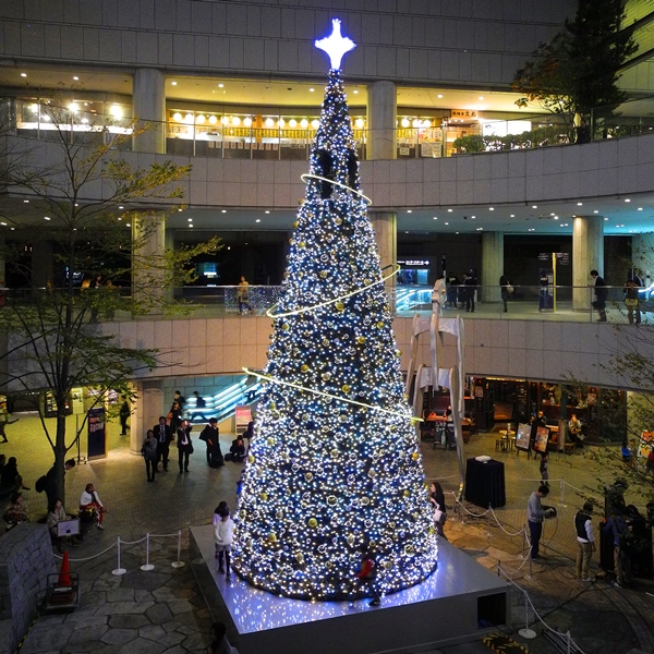 d0154964_23331834.jpg