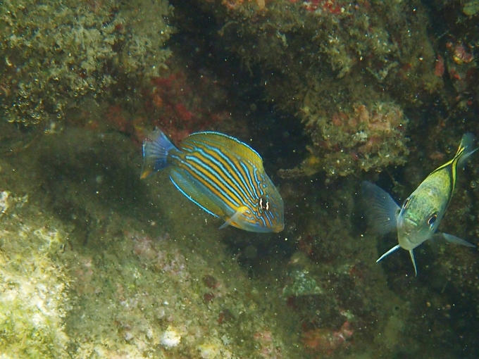三浦半島2013⑨_b0287468_15185385.jpg