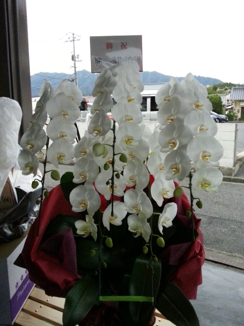 忙しくさせていただいておりました。_a0160970_2234694.jpg