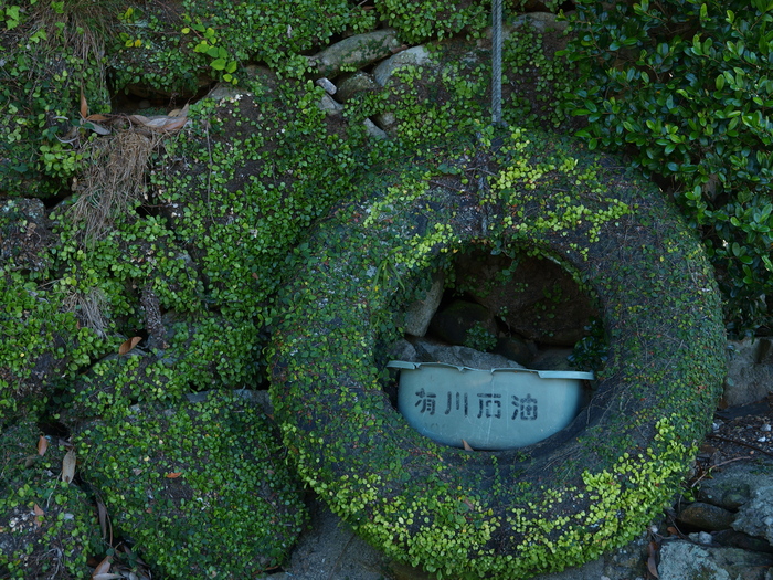 a0260570_11423150.jpg