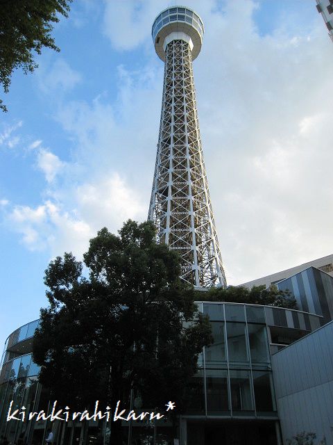 e0173670_1703226.jpg