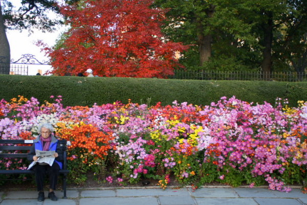 Conservatory Garden @Central Park_d0233672_14315775.jpg