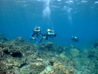 b0033573_2222076.jpg