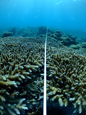 b0033573_222332.jpg