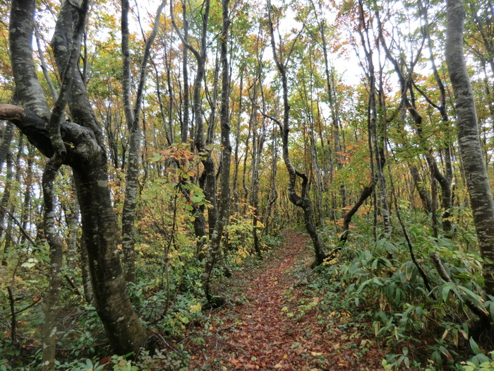 b0185573_20151595.jpg
