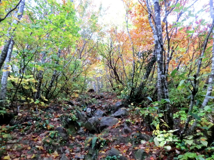 b0185573_20181990.jpg
