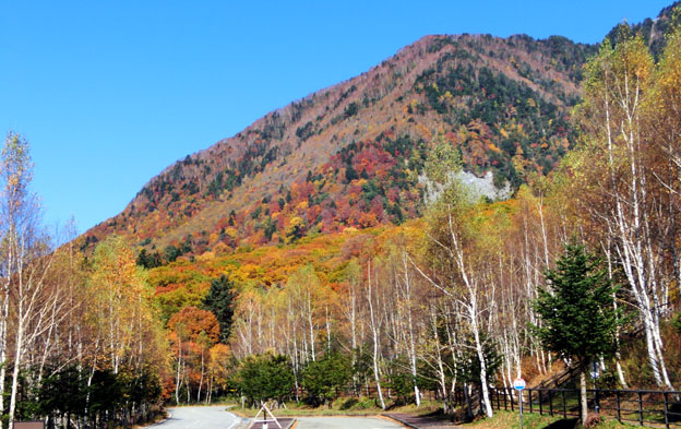f0084573_030016.jpg