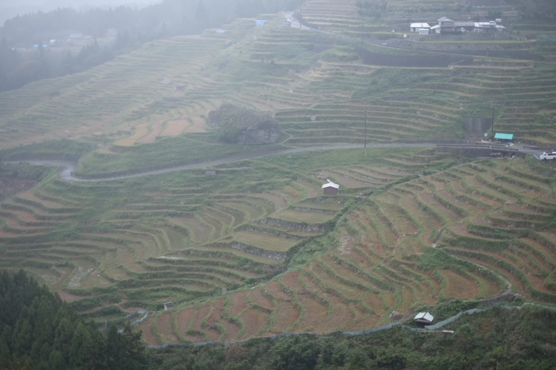 e0015174_19424620.jpg