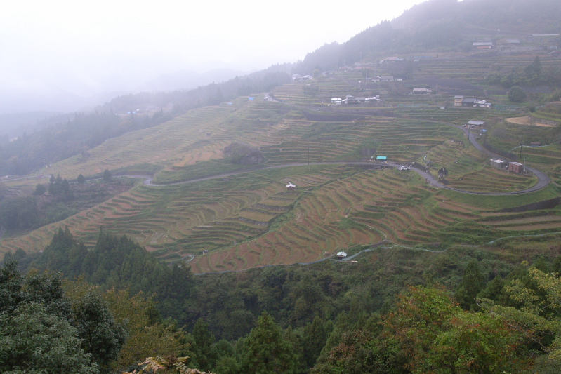 e0015174_19472429.jpg