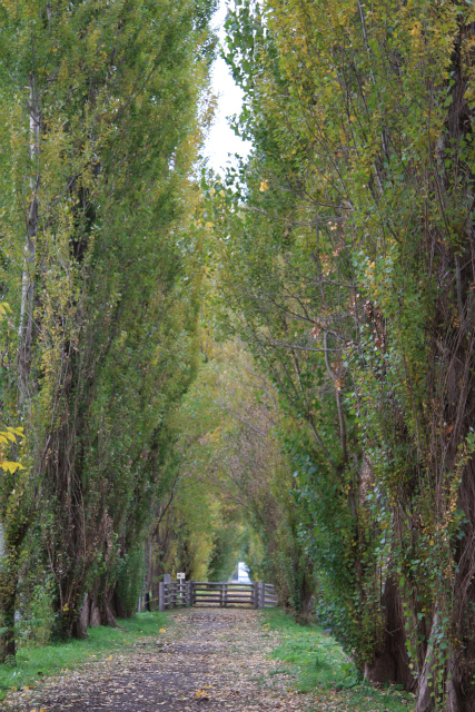 b0003280_22119.jpg