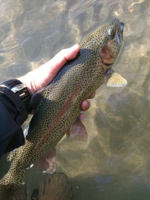c0157482_1010649.jpg