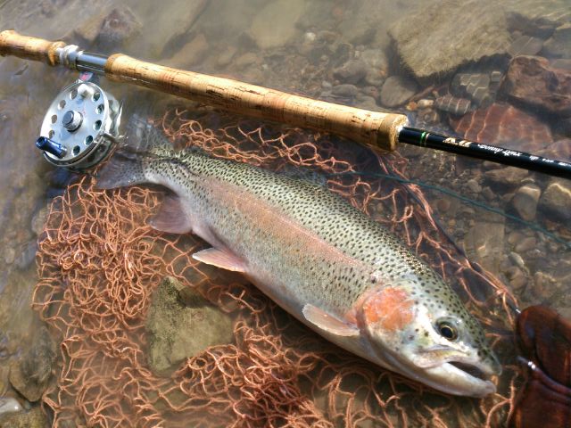 c0157482_1034229.jpg