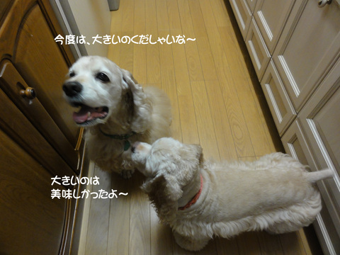 f0218182_1622369.jpg