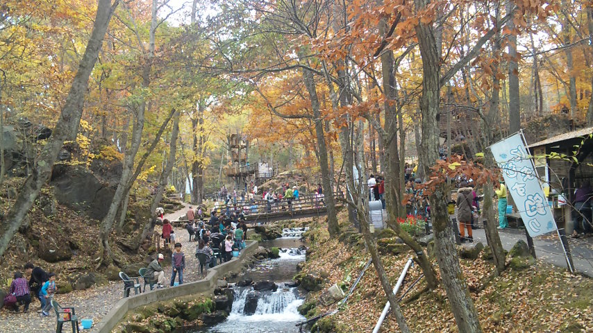 北軽井沢スウィートグラスと北軽井沢おもちゃ王国　平成25年11月２日（土）_f0131183_12481450.jpg