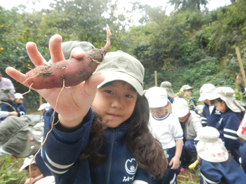 全園児でみかづきの森においも掘りに行ってきました！_c0194485_18133894.jpg