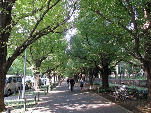 a0188487_014687.jpg