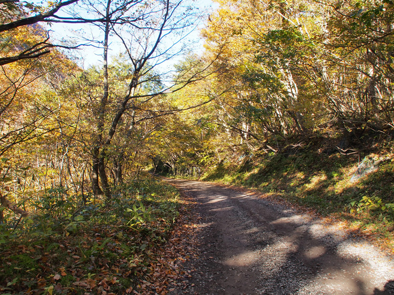 2013 紅葉ツーリング【二口林道編】_d0244687_1053926.jpg