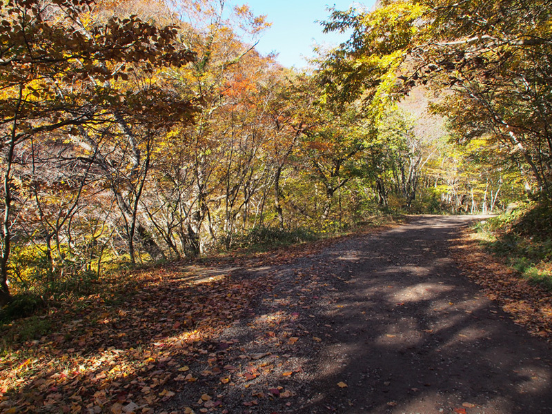 2013 紅葉ツーリング【二口林道編】_d0244687_10551466.jpg