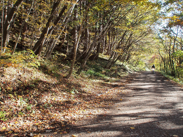 2013 紅葉ツーリング【二口林道編】_d0244687_10571125.jpg