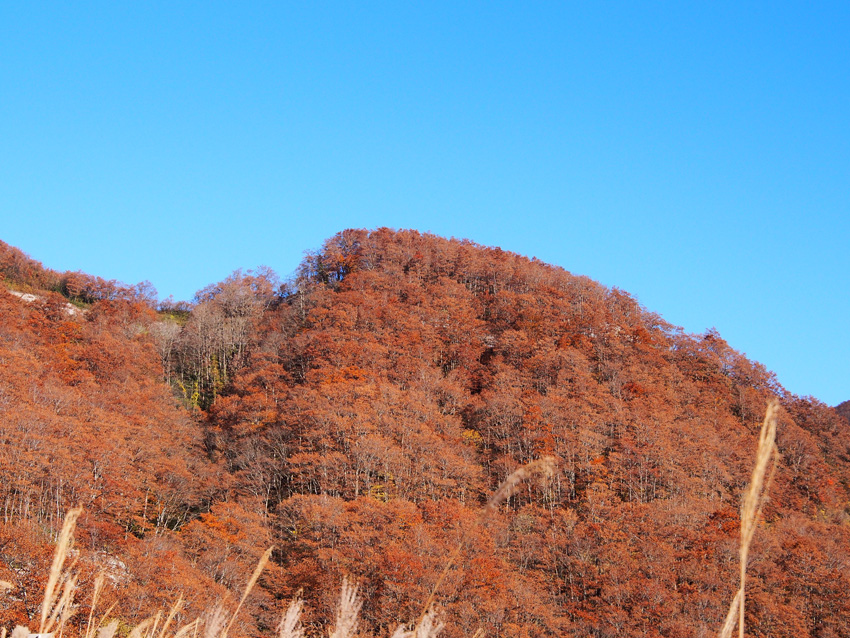 2013 紅葉ツーリング【二口林道編】_d0244687_115030100.jpg