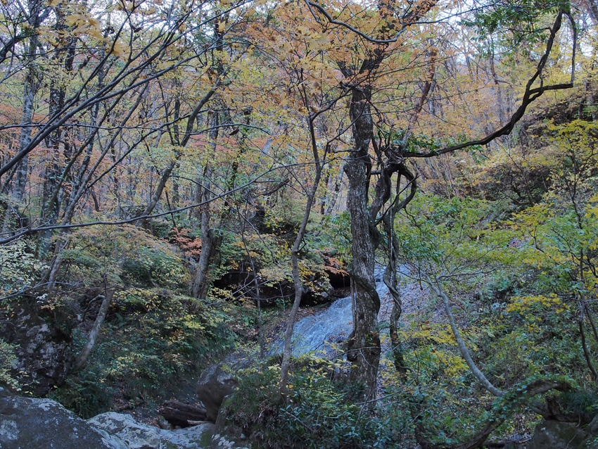 d0244687_115871.jpg