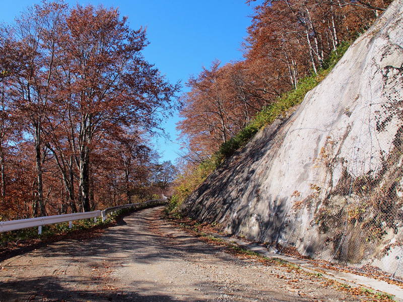 d0244687_1241388.jpg