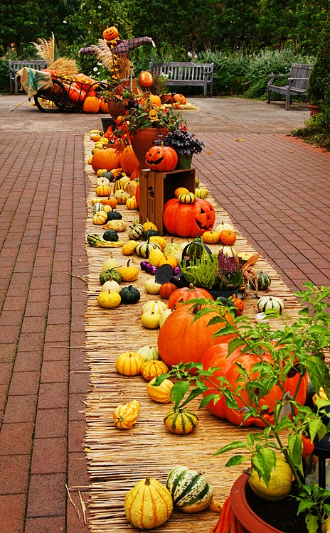 横浜イングリッシュガーデンのハロウィン2013_b0145398_16215810.jpg