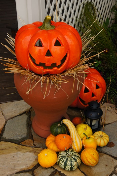 横浜イングリッシュガーデンのハロウィン2013_b0145398_16221072.jpg