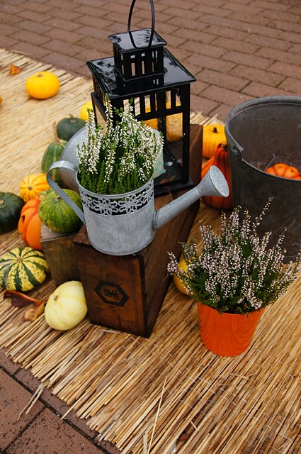 横浜イングリッシュガーデンのハロウィン2013_b0145398_16252699.jpg