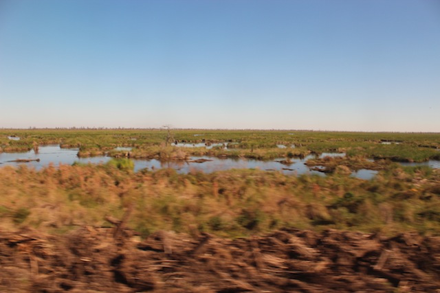 c0306400_1433471.jpg