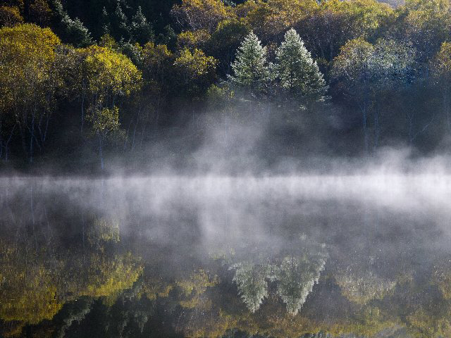 c0008502_9125629.jpg