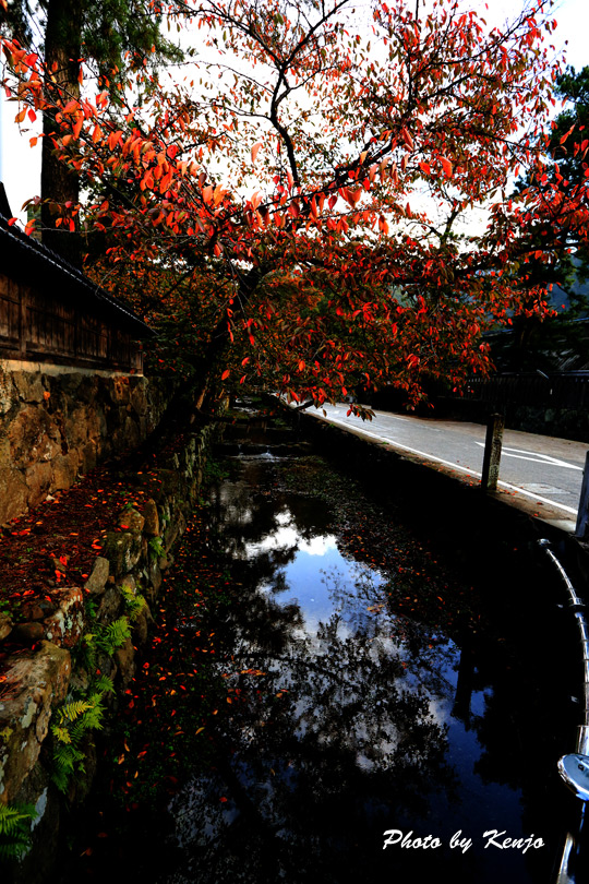a0097006_23425797.jpg