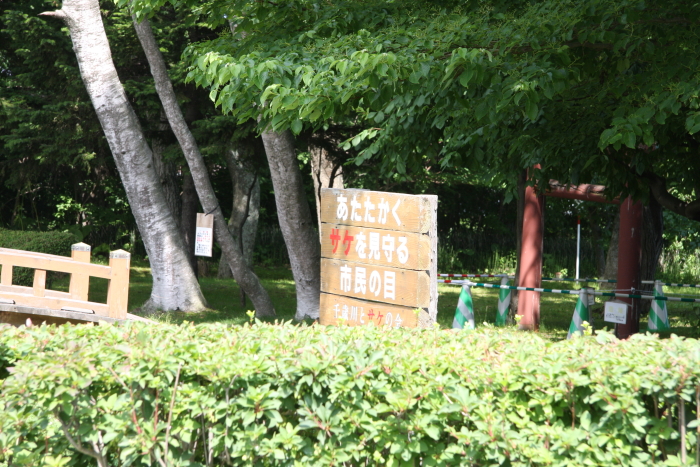 e0130008_18311073.jpg