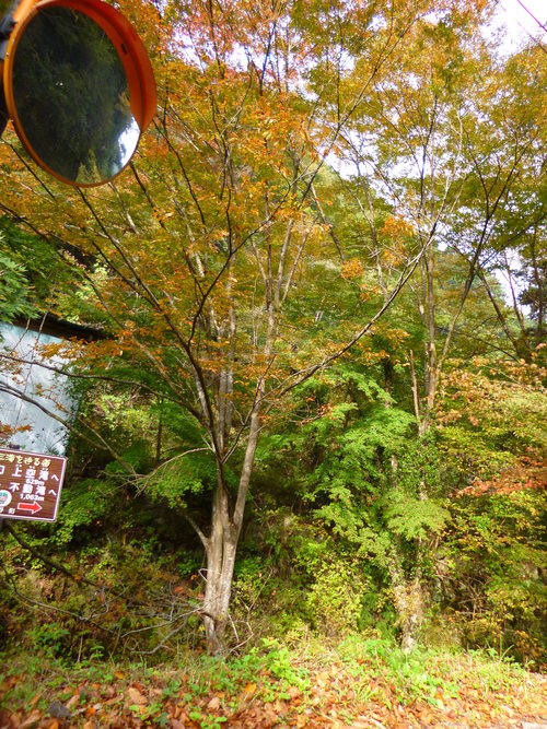 e0258608_13640.jpg