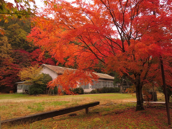 小田深山～雨のち晴れ～_d0237309_21272665.jpg