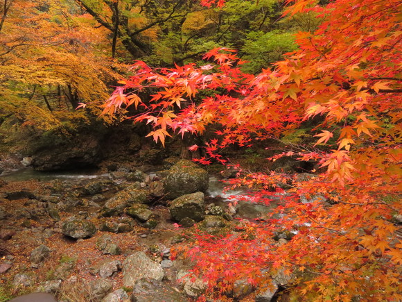 小田深山～雨のち晴れ～_d0237309_21281557.jpg