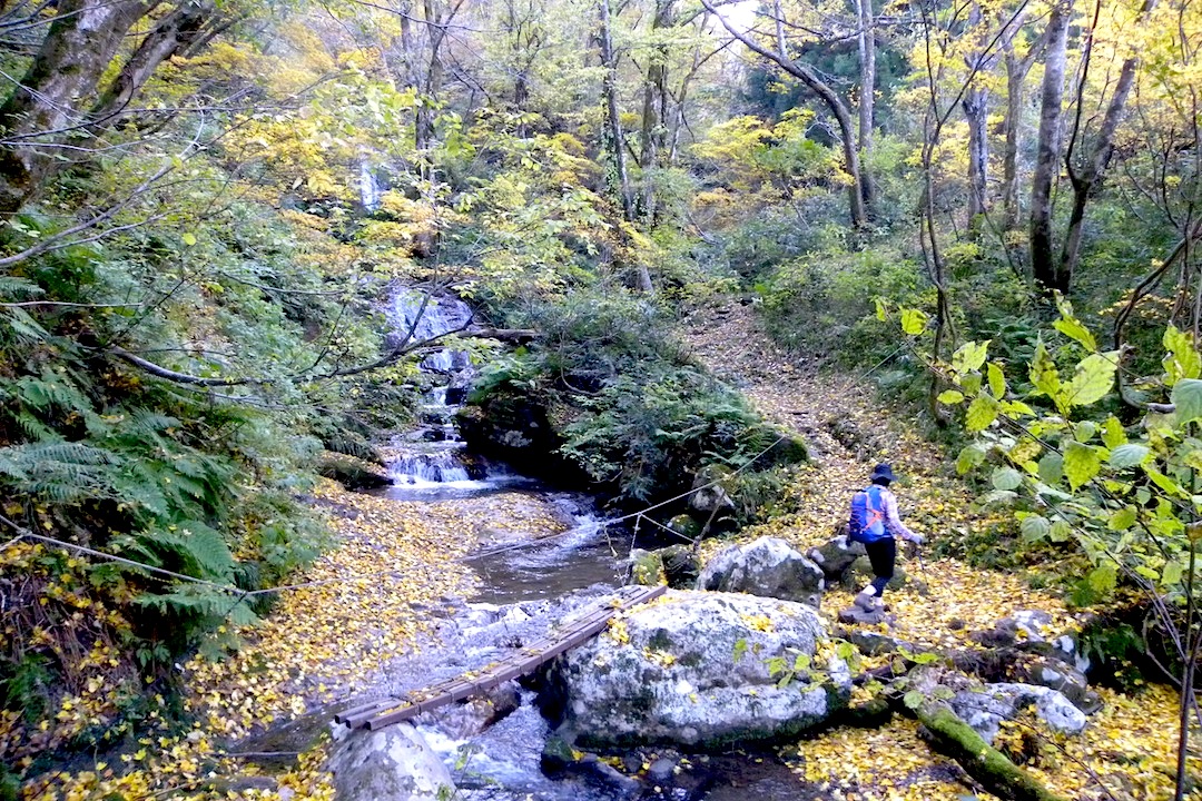 c0078410_7561684.jpg