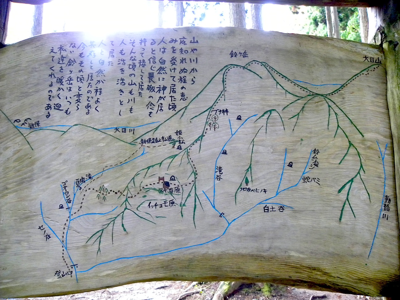 c0078410_811158.jpg