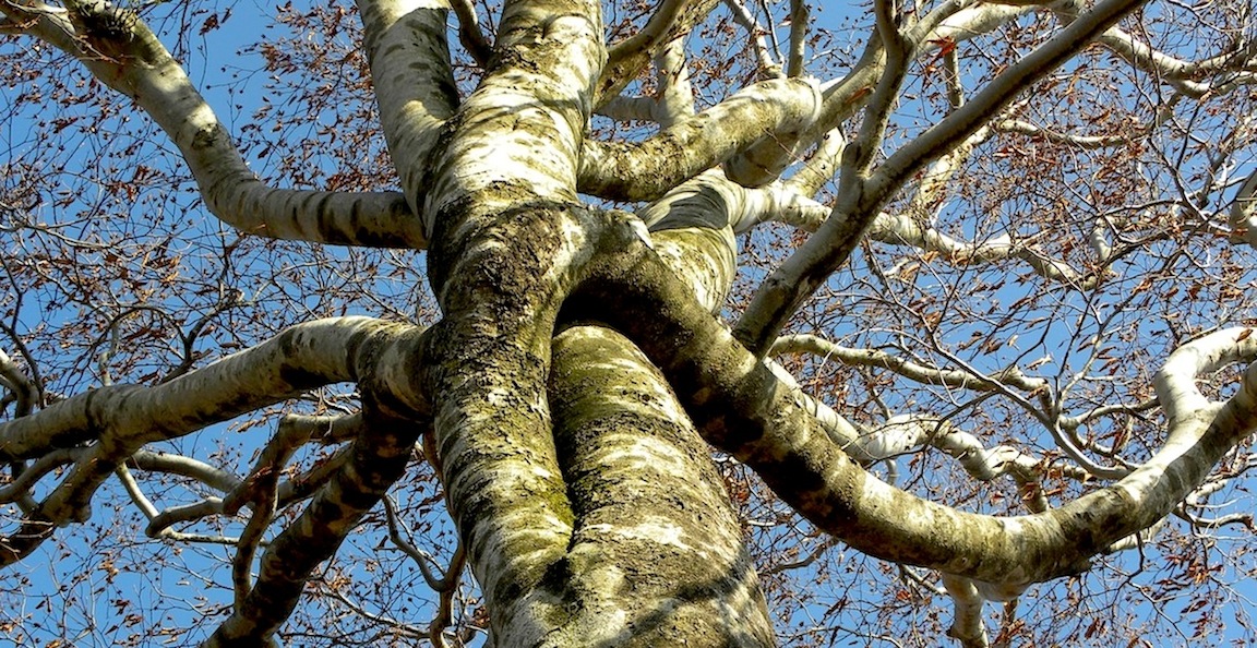 c0078410_8115271.jpg