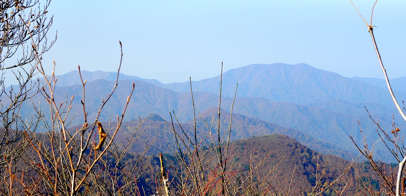c0078410_8142988.jpg