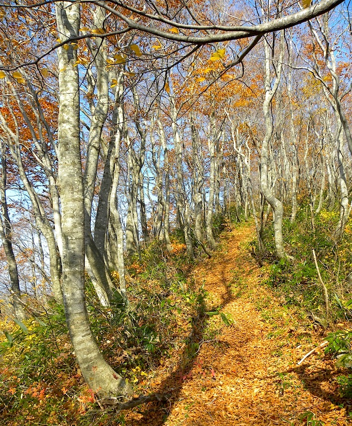 c0078410_8212642.jpg