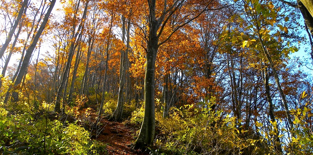 c0078410_82455.jpg