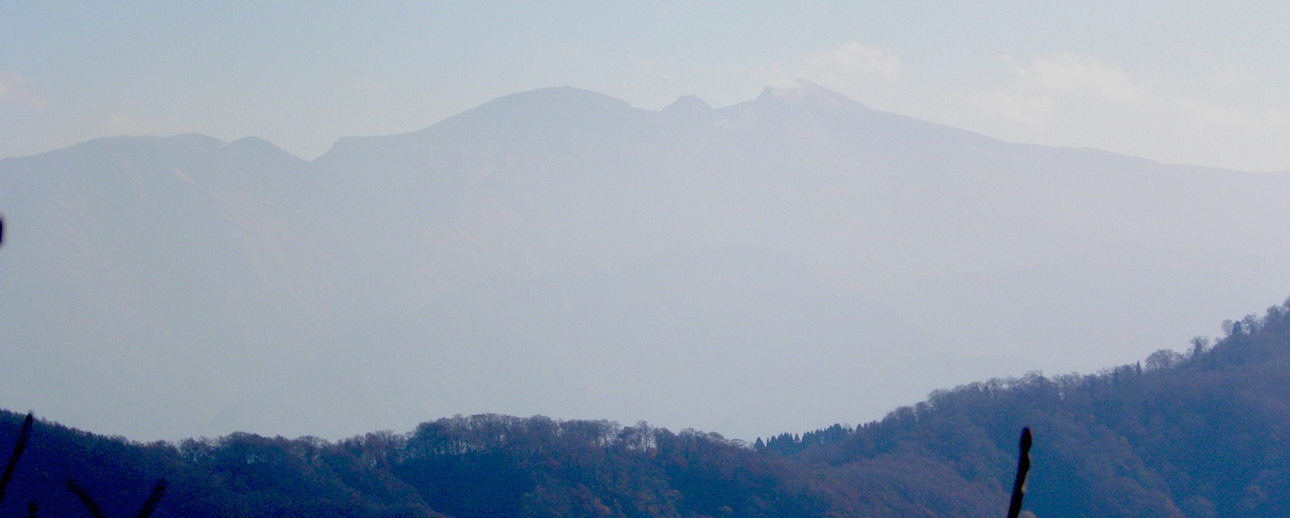 c0078410_831282.jpg