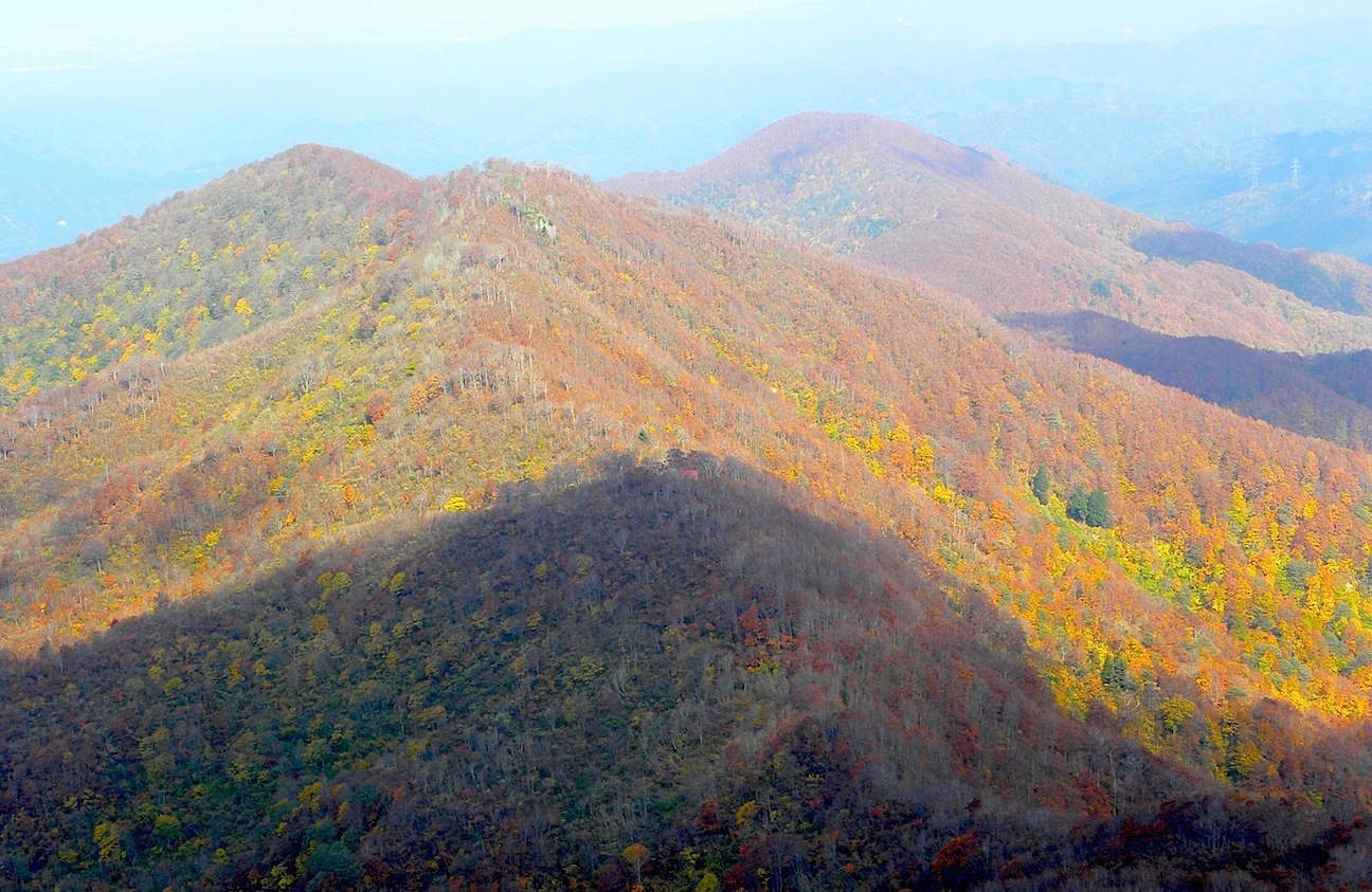 c0078410_915113.jpg